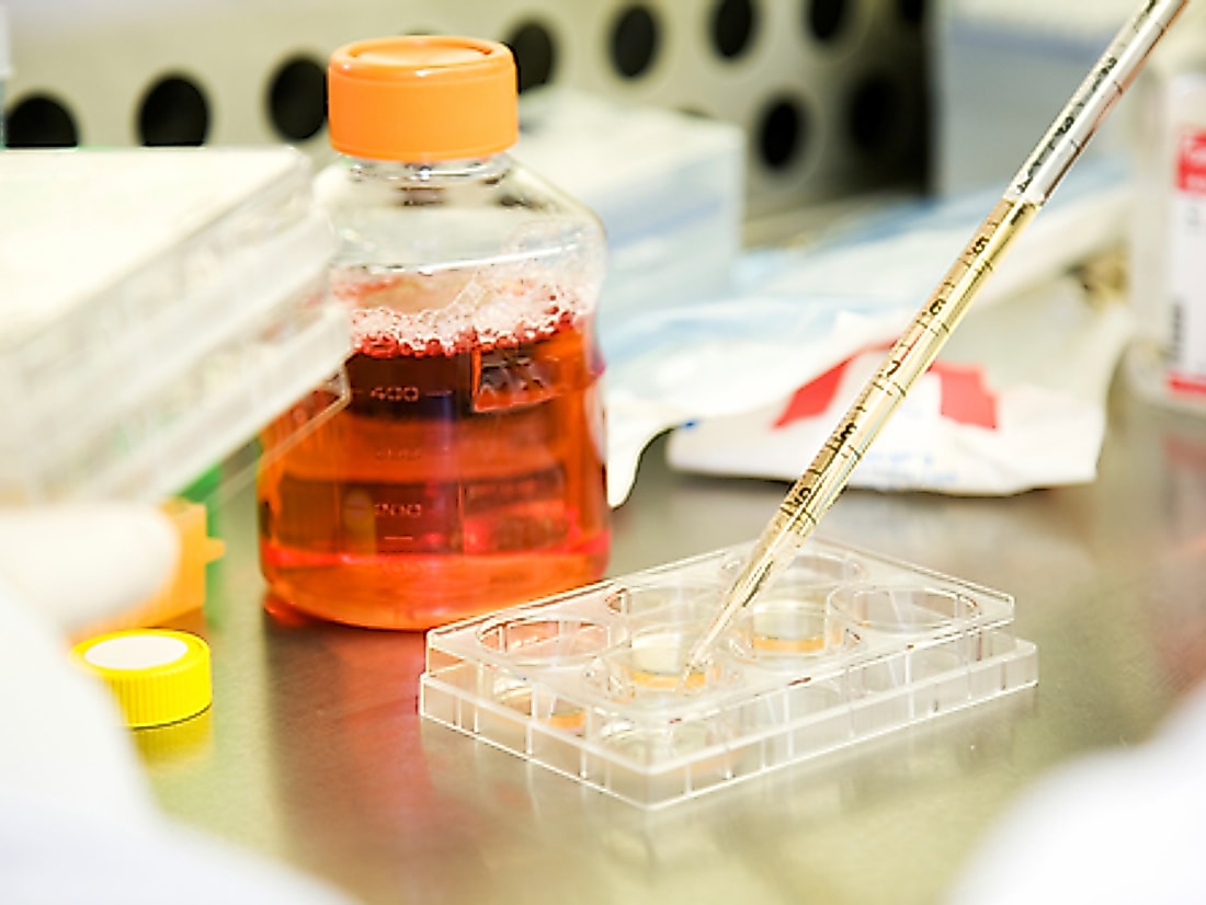 Reagenti e piastra di coltura nel laboratorio